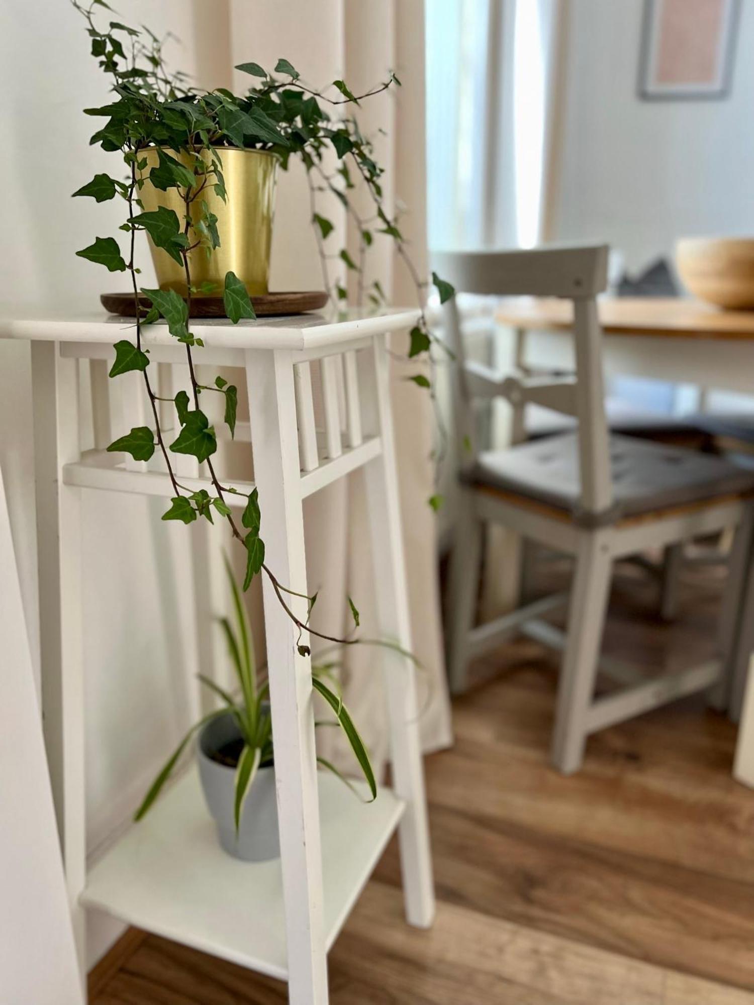 2025 Award Winner Liverpool Ivy House - 4 Bedrooms エクステリア 写真